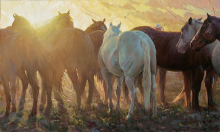 Horse Loops At First Light
